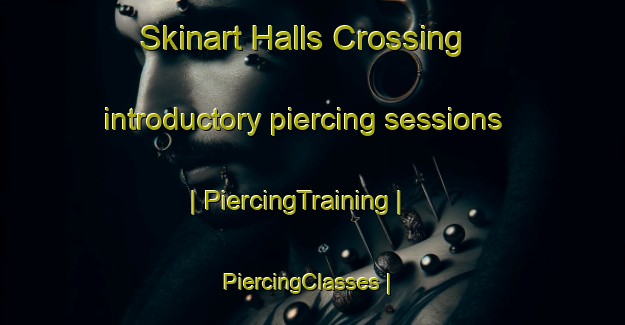 Skinart Halls Crossing introductory piercing sessions | PiercingTraining | PiercingClasses | SkinartTraining-United States